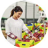 AI-Powered Financial Forecasting for the Consumer Products Industry