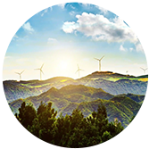 From Vision to Viability: Accelerating India’s Green Hydrogen Economy