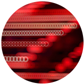 The Rise of Agentic AI Commerce: Balancing Autonomy with Trust