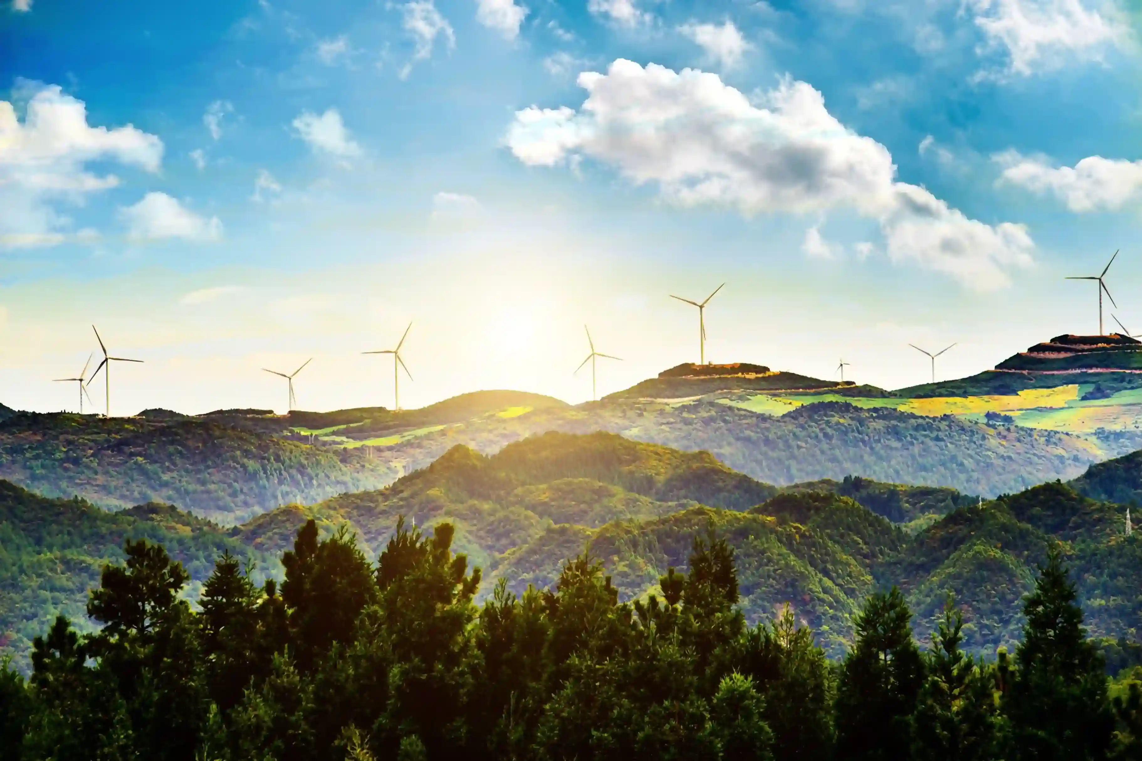 From Vision to Viability: Accelerating India’s Green Hydrogen Economy